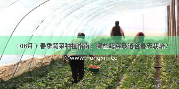 （06月）春季蔬菜种植指南：哪些蔬菜最适合春天栽培？