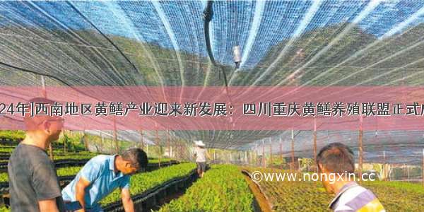 [2024年]西南地区黄鳝产业迎来新发展：四川重庆黄鳝养殖联盟正式成立