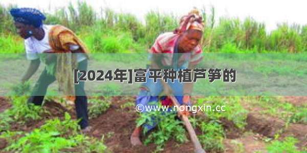 [2024年]富平种植芦笋的