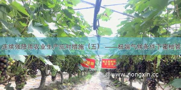 06月​连续强降雨农业生产应对措施（五） ——极端气候条件下蜜柚管理措施