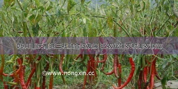 06月重庆推进三社融合促发展 让农业强农村美农民富