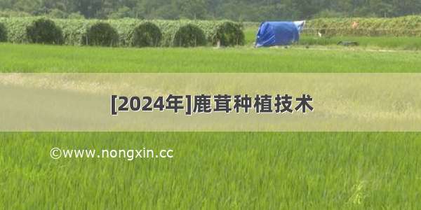 [2024年]鹿茸种植技术