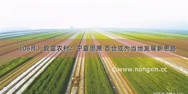 （06月）致富农村：宁夏固原 百合成为当地发展新思路