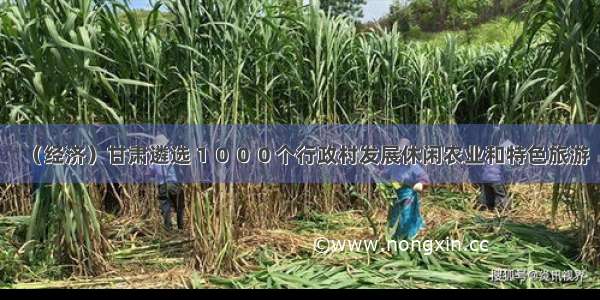 （经济）甘肃遴选１０００个行政村发展休闲农业和特色旅游