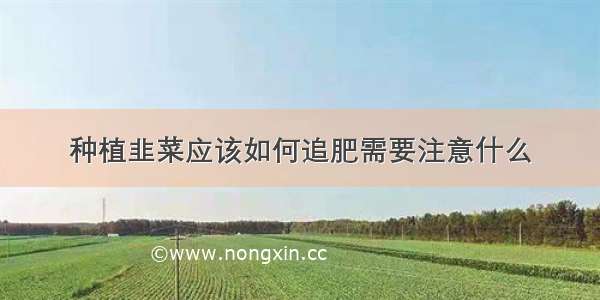 种植韭菜应该如何追肥需要注意什么