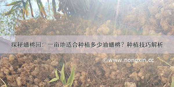 探秘蟠桃园：一亩地适合种植多少油蟠桃？种植技巧解析