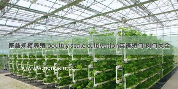 畜禽规模养殖 poultry scale cultivation英语短句 例句大全