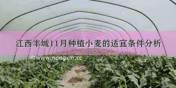 江西丰城11月种植小麦的适宜条件分析