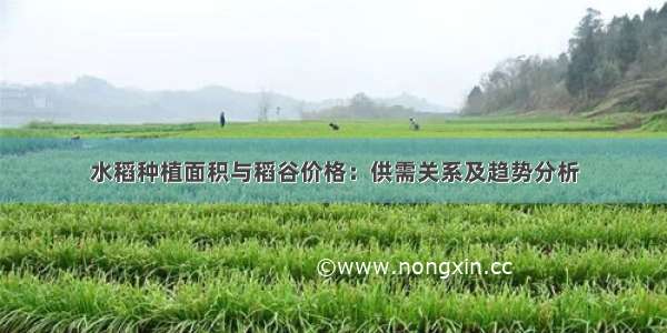水稻种植面积与稻谷价格：供需关系及趋势分析