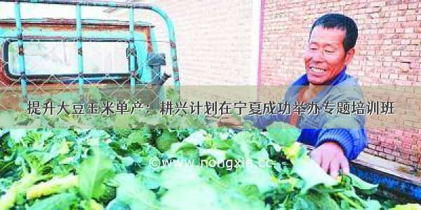 提升大豆玉米单产：耕兴计划在宁夏成功举办专题培训班