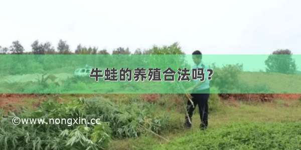 牛蛙的养殖合法吗？