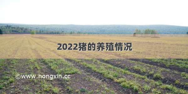 2022猪的养殖情况