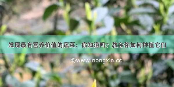 发现最有营养价值的蔬菜：你知道吗？教会你如何种植它们